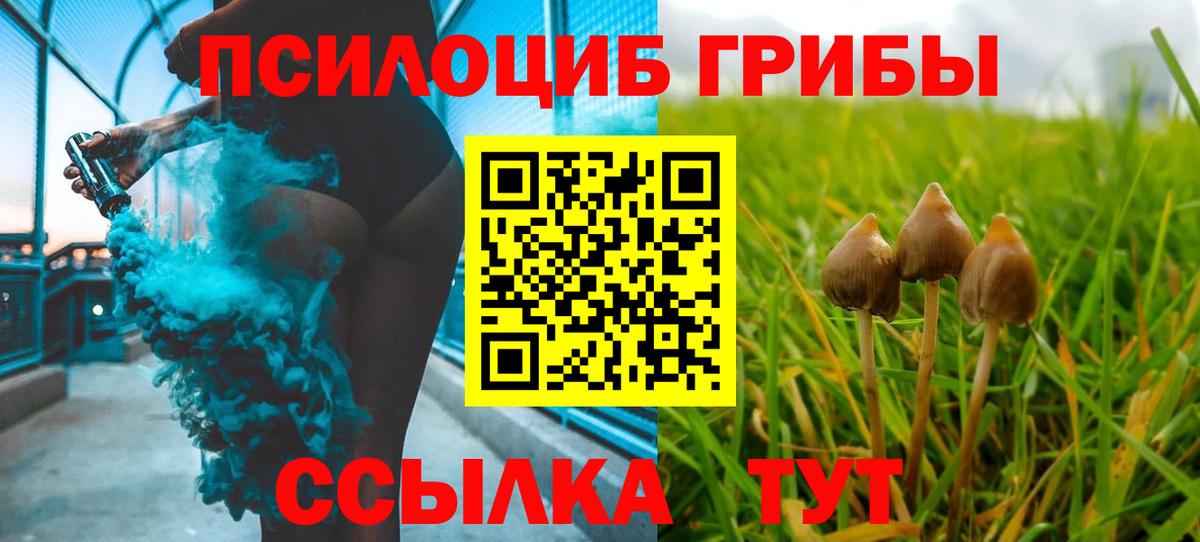 Людиново  Галлюциногенные грибы Cubensis  Вход с VPN  Галлюциногенные грибы Psilocybine cubensis 